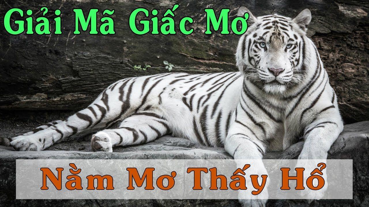 33 win casino TRỰC TUYẾN