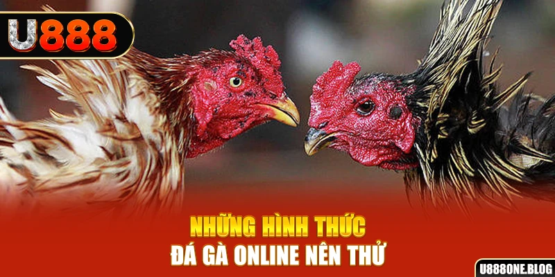 sun18 sòng bạc kèo nhà cái